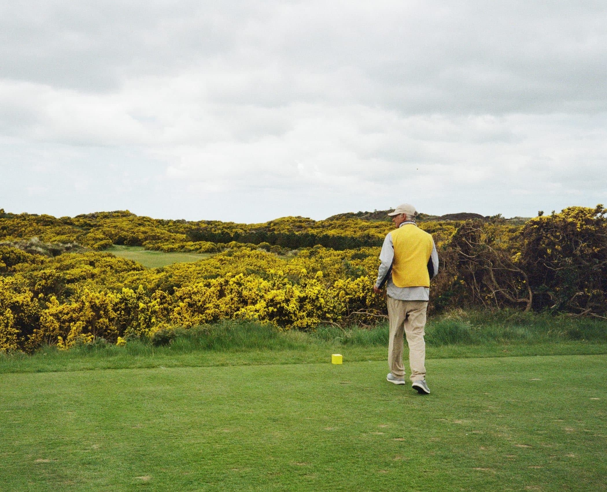 A golfer in a yellow vest on a links tee, a bank of gorse in full bloom behind him.